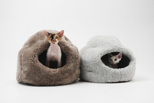 Two cats inside cozy pet beds on a white background