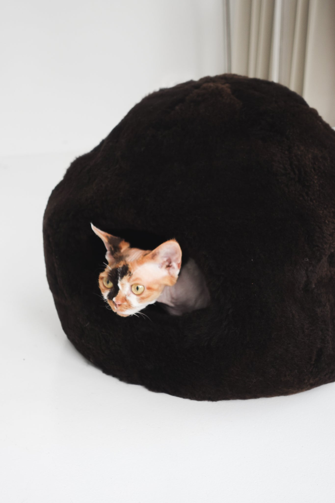 Cat peeking out from a dark brown cat bed on a white background | Natural, non‑toxic pet nest for cats and small dogs | Cozy, handmade pet furniture, natural wool and sheepskin
