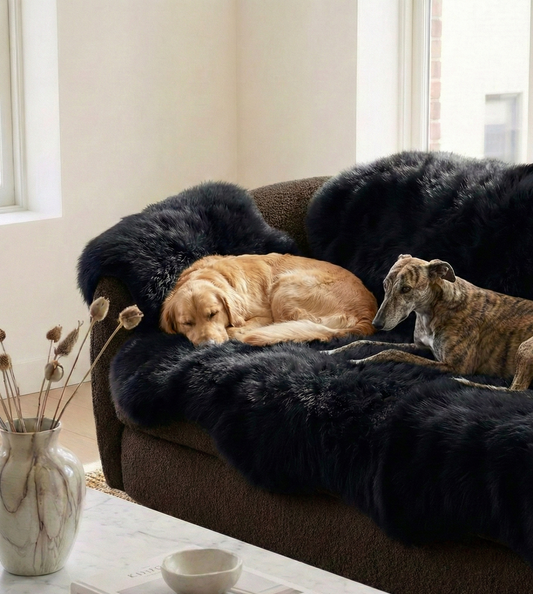 Genuine Black Sheepskin Couch Cover for Dogs — Natural Sofa Protector (Plastic-Free)