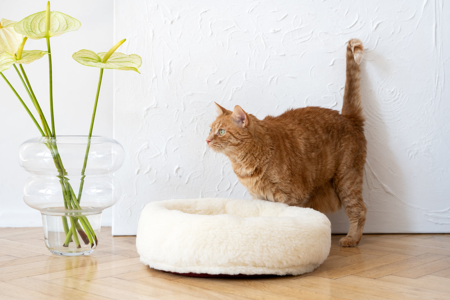 Round Natural White Wool Pet Bed