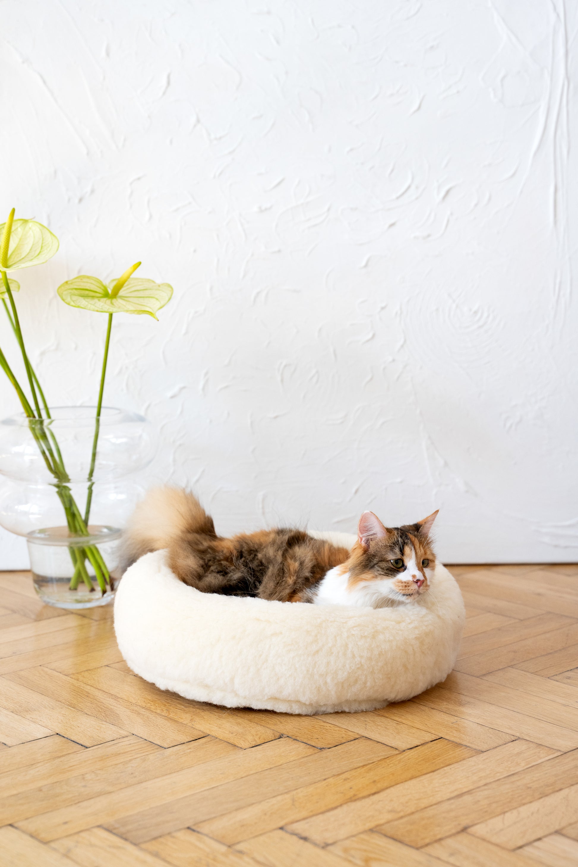 Round Natural White Wool Pet Bed