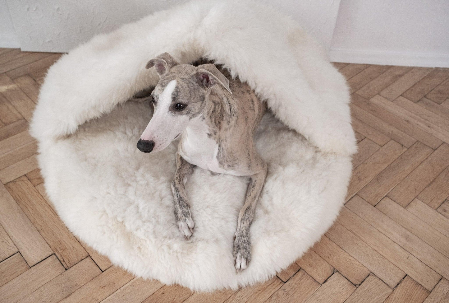 A greyhound dog lounging in a fluffy Natural Sheepskin Pet Cave - White made from Mellow Pet Store.