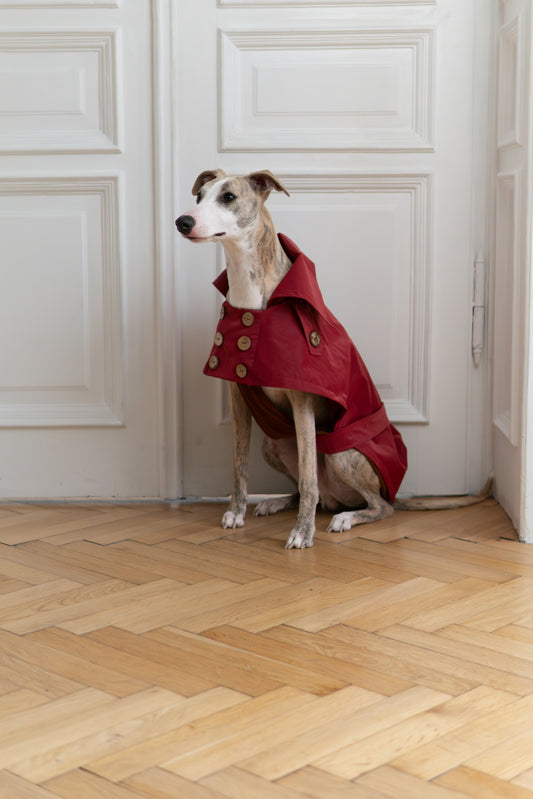 Water-repellent Dog Trench Coat - Burgundy Red
