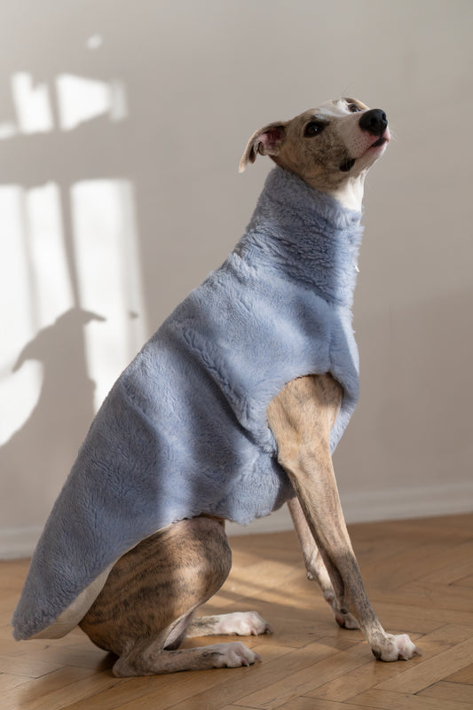 Woolen Dog Vest - Blue