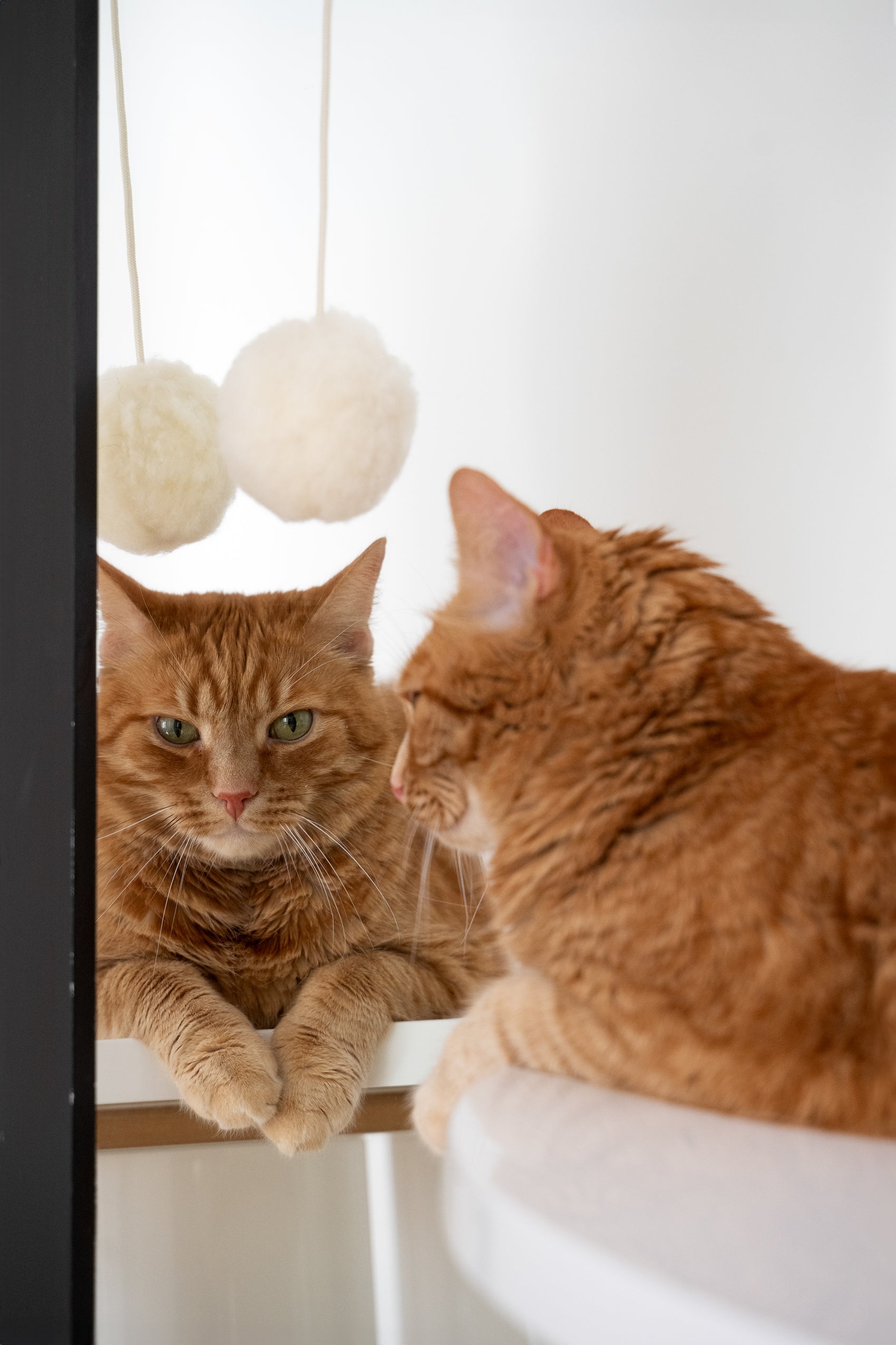 Natural Sheepskin Cat Toy: Ball