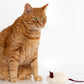 Natural Woolen Cat Toy: Mouse