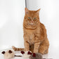 Natural Sheepskin Cat Toy: Mouse