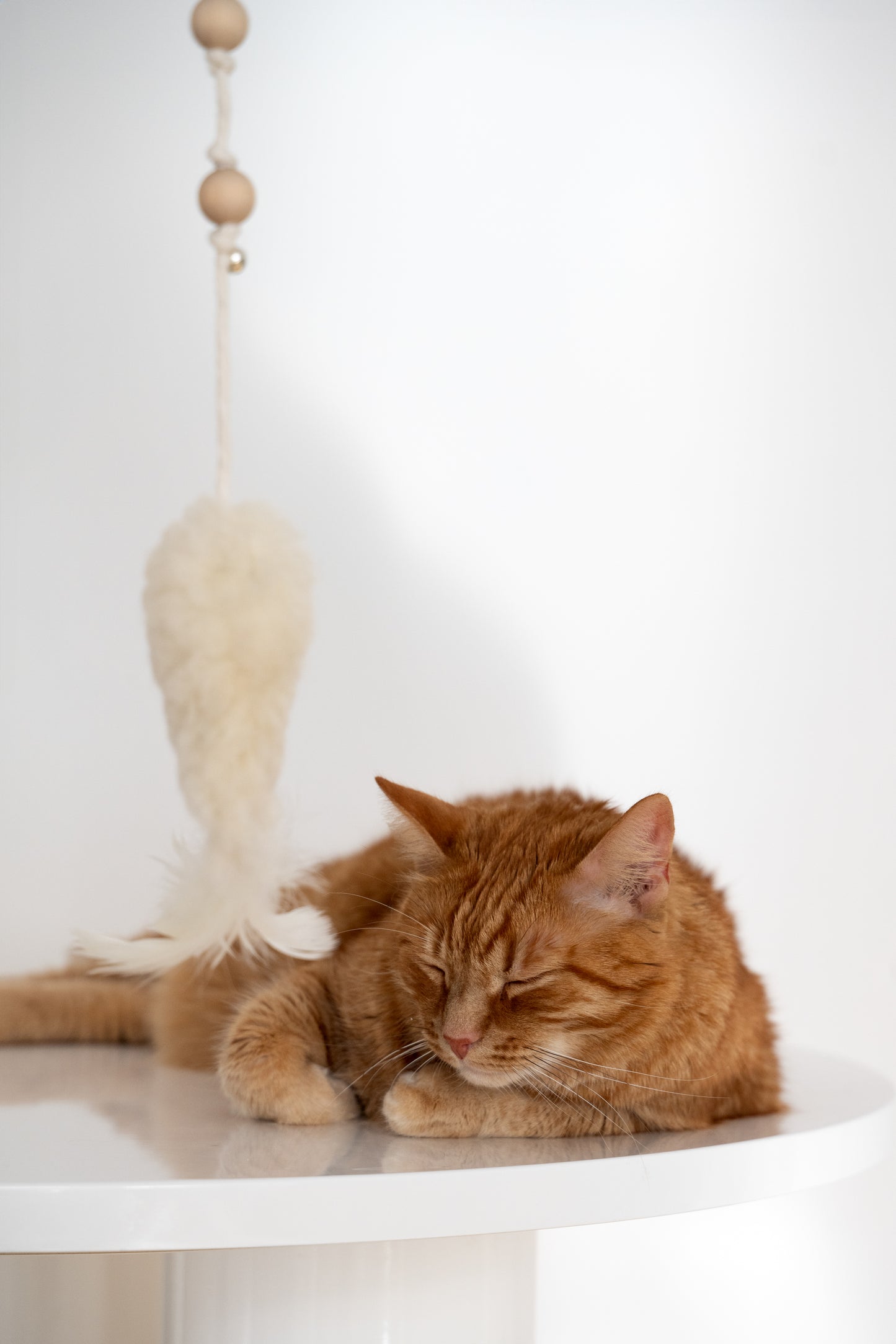 Natural Sheepskin Cat Toy: Fish