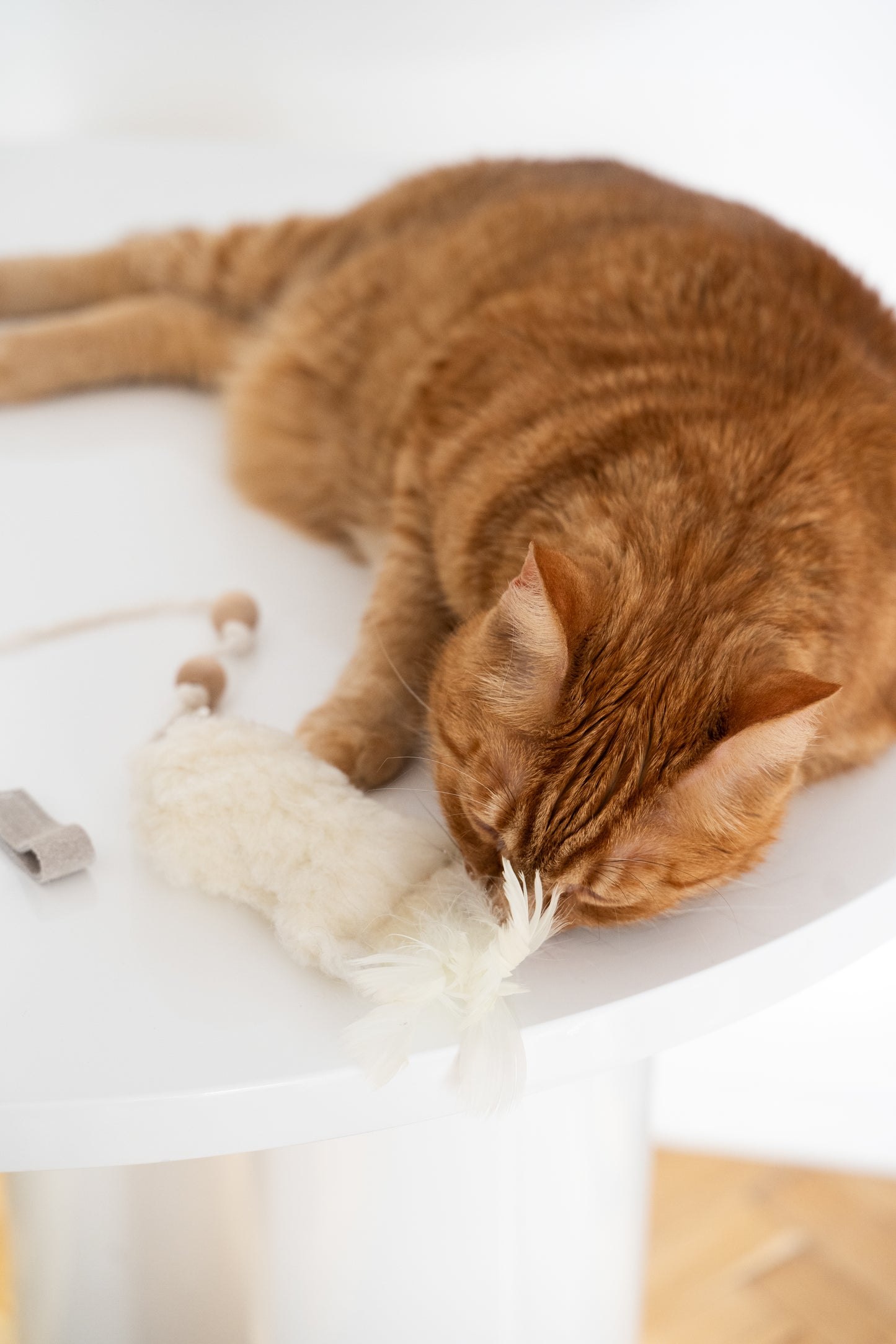 Natural Sheepskin Cat Toy: Fish