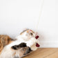 Natural Woolen Cat Toy: Mouse