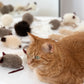 Natural Sheepskin Cat Toy: Fish