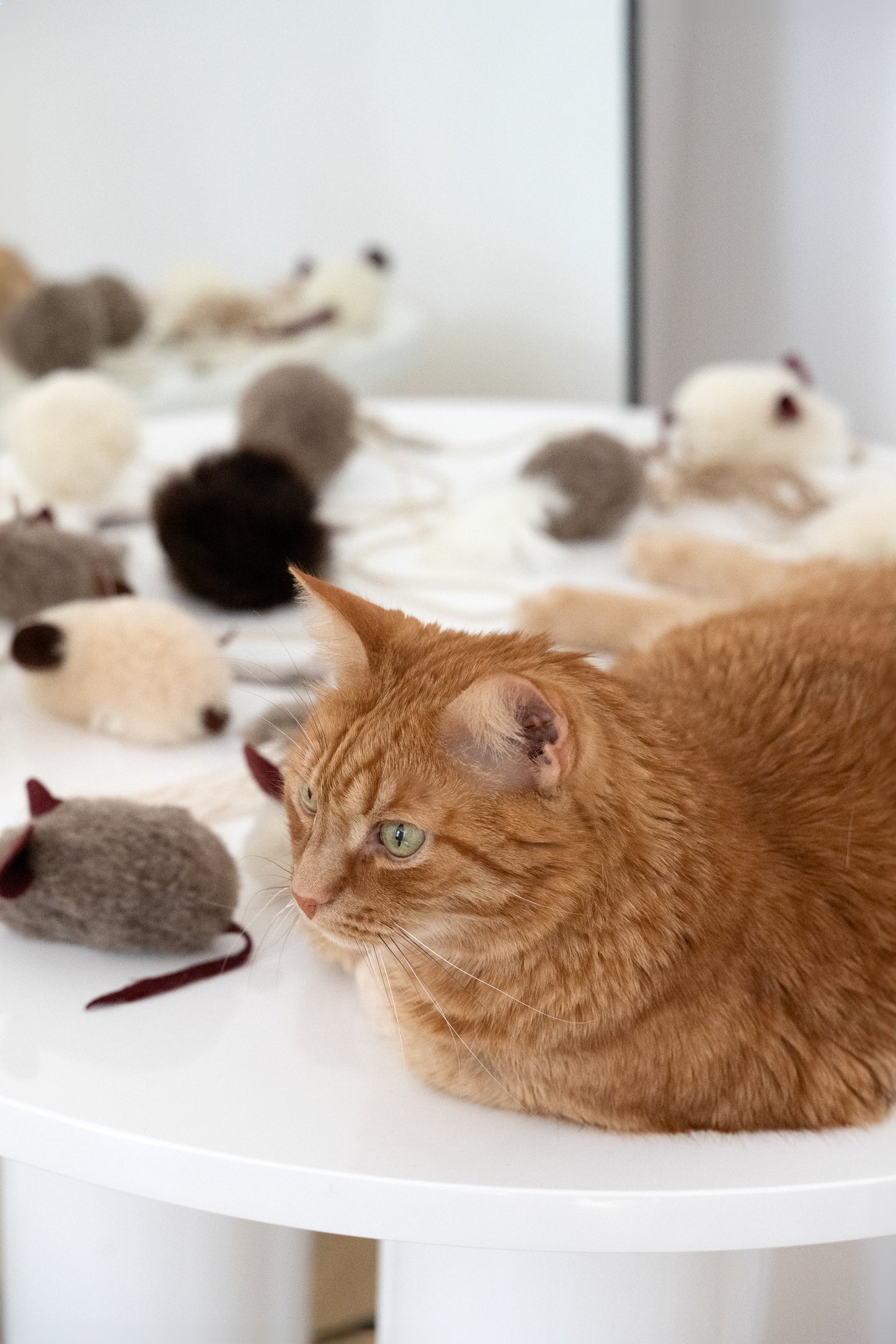 Natural Sheepskin Cat Toy: Ball