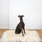 Square or Rectangular Natural Sheepskin Pet Mat - White
