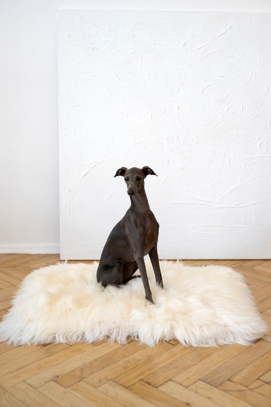 Square or Rectangular Natural Sheepskin Pet Mat - White