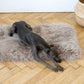 Square or Rectangular Natural Sheepskin Pet Mat - Greige