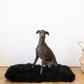 Square or Rectangular Natural Sheepskin Pet Mat - Black