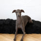 Square or Rectangular Natural Sheepskin Pet Mat - Black