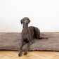 Square or Rectangular Natural Woolen Pet Mat - Beige