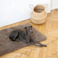Square or Rectangular Natural Woolen Pet Mat - Beige