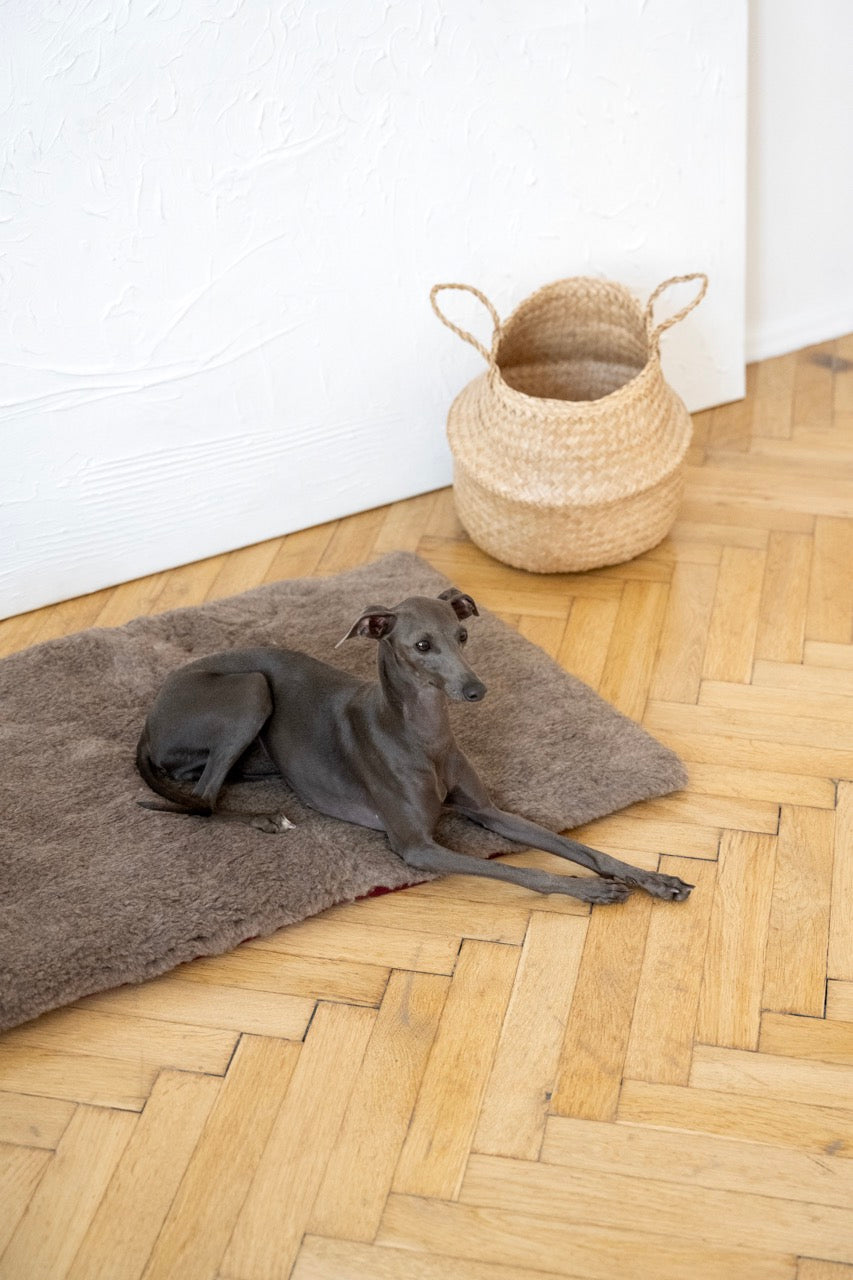 Square or Rectangular Natural Woolen Pet Mat - Beige