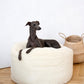 Oval Natural Wool Pet Bed - White