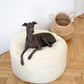 Oval Natural Wool Pet Bed - White
