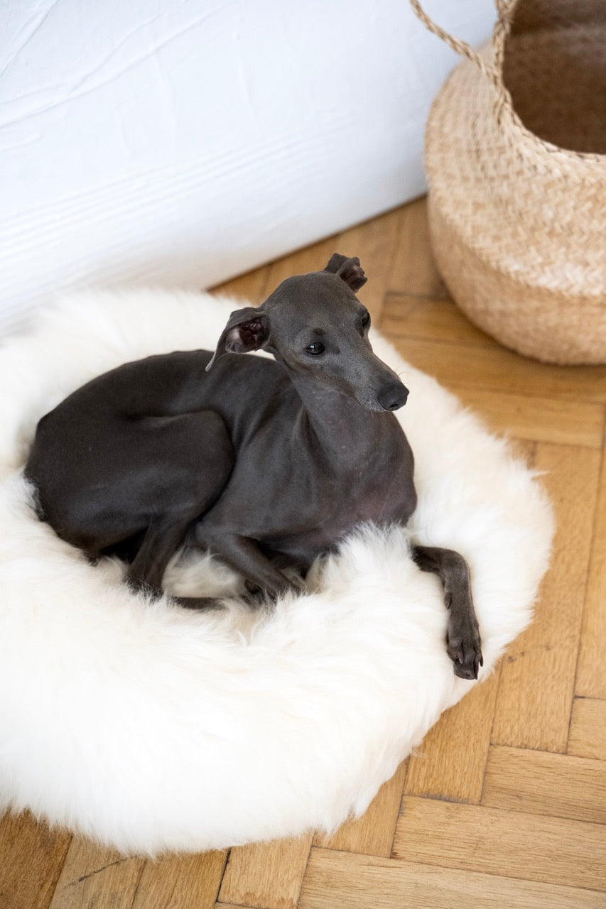 Round Natural Sheepskin Pet Bed - White