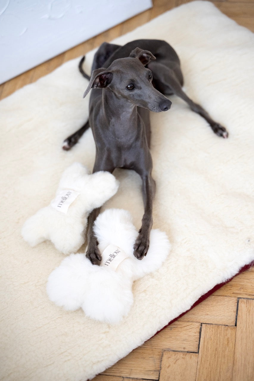 Natural Woolen Dog Toy - Bone - White