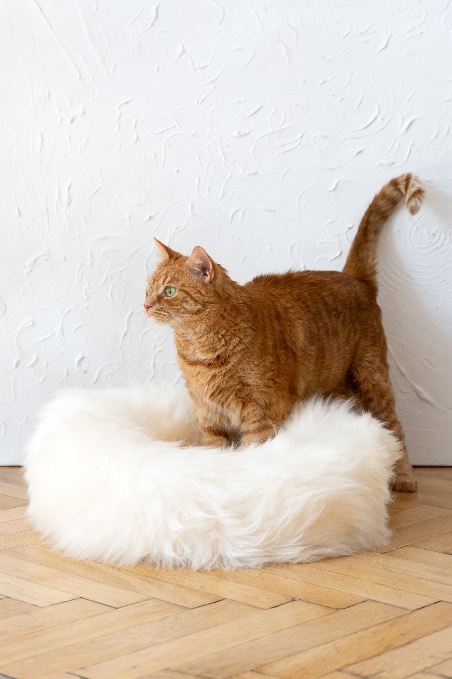 Round Natural Sheepskin Pet Bed - White