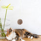 Natural Sheepskin Cat Toy: Ball