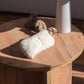 Natural Woolen Dog Tug Toy - White
