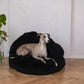 A greyhound dog sitting on a Natural Sheepskin Pet Cave - Black from Mellow Pet Store.