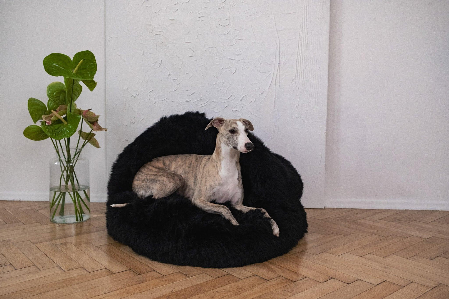 A greyhound dog sitting on a Natural Sheepskin Pet Cave - Black from Mellow Pet Store.