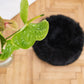 A Round Natural Sheepskin Pet Bed in black from Mellow Pet Store on a sustainable wooden floor.