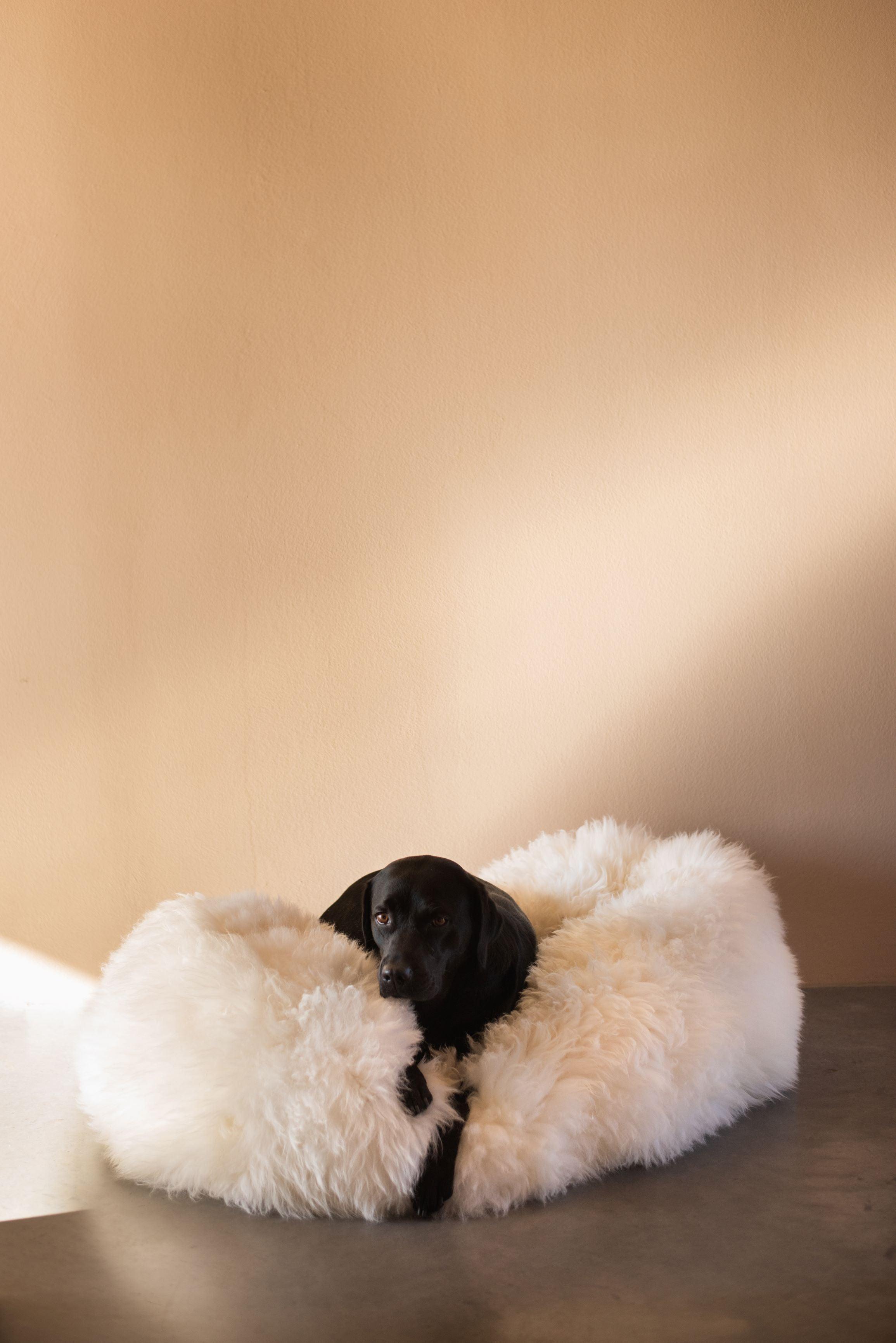 Faux sheepskin dog bed best sale